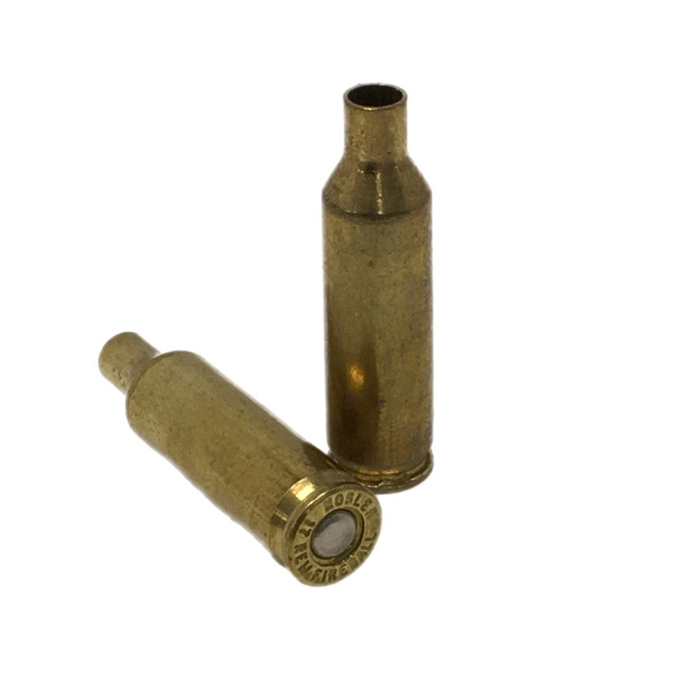 17 Rem Fireball Nosler - 250ct