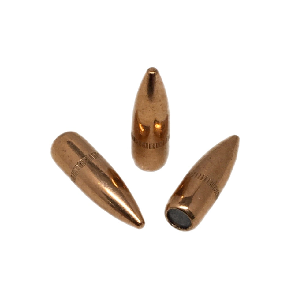 223 55gr M193 FMJ NEW - 1000ct