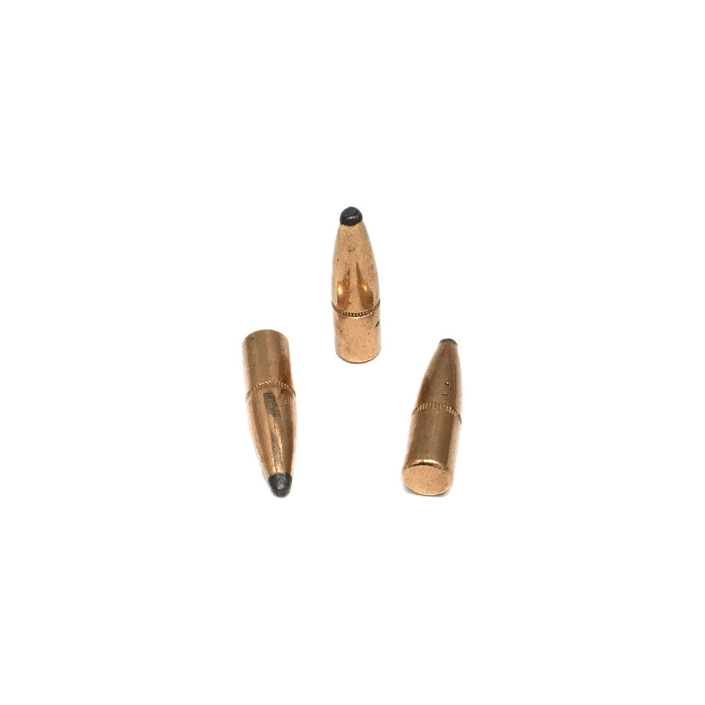 americanreloading.com