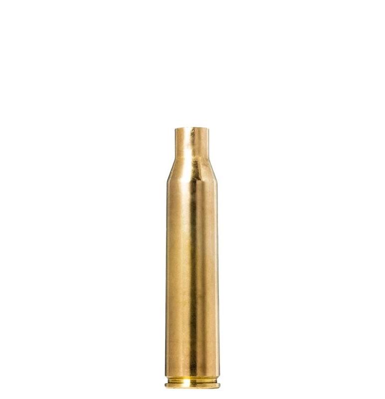 311562763.jpg
