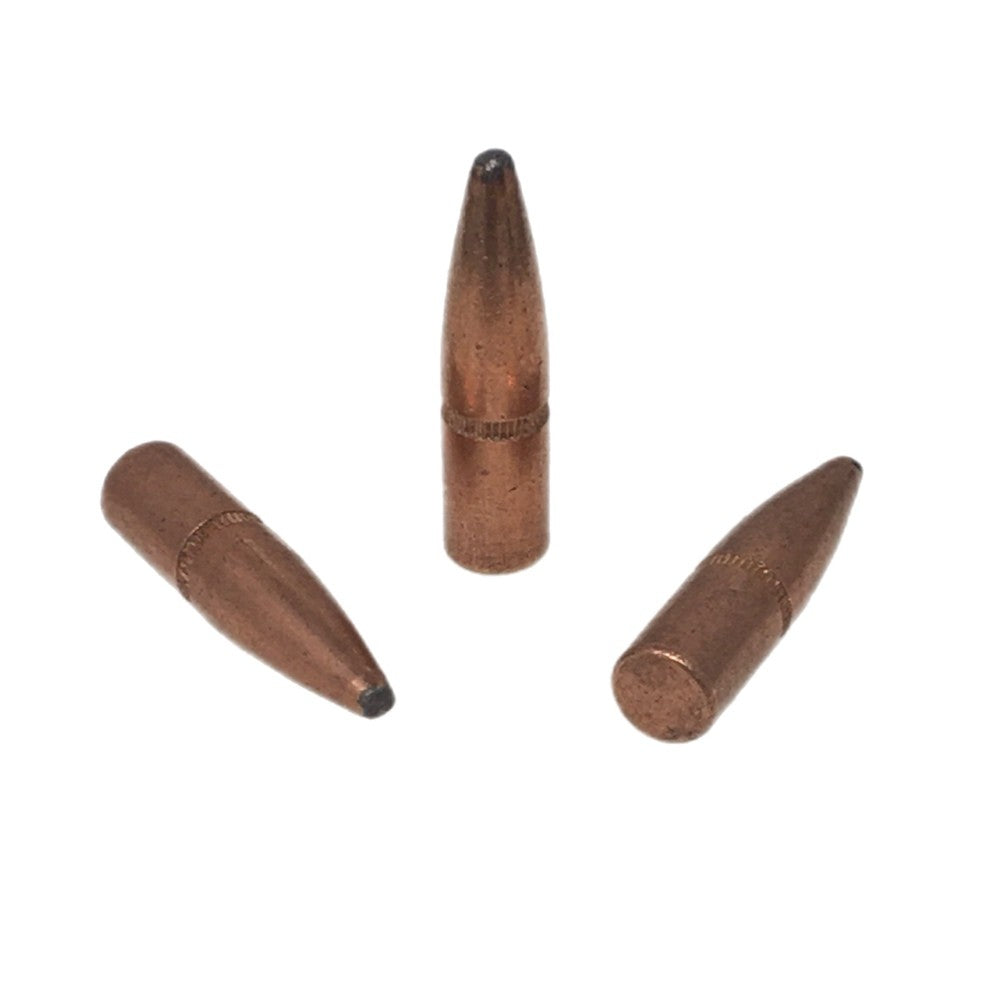 americanreloading.com