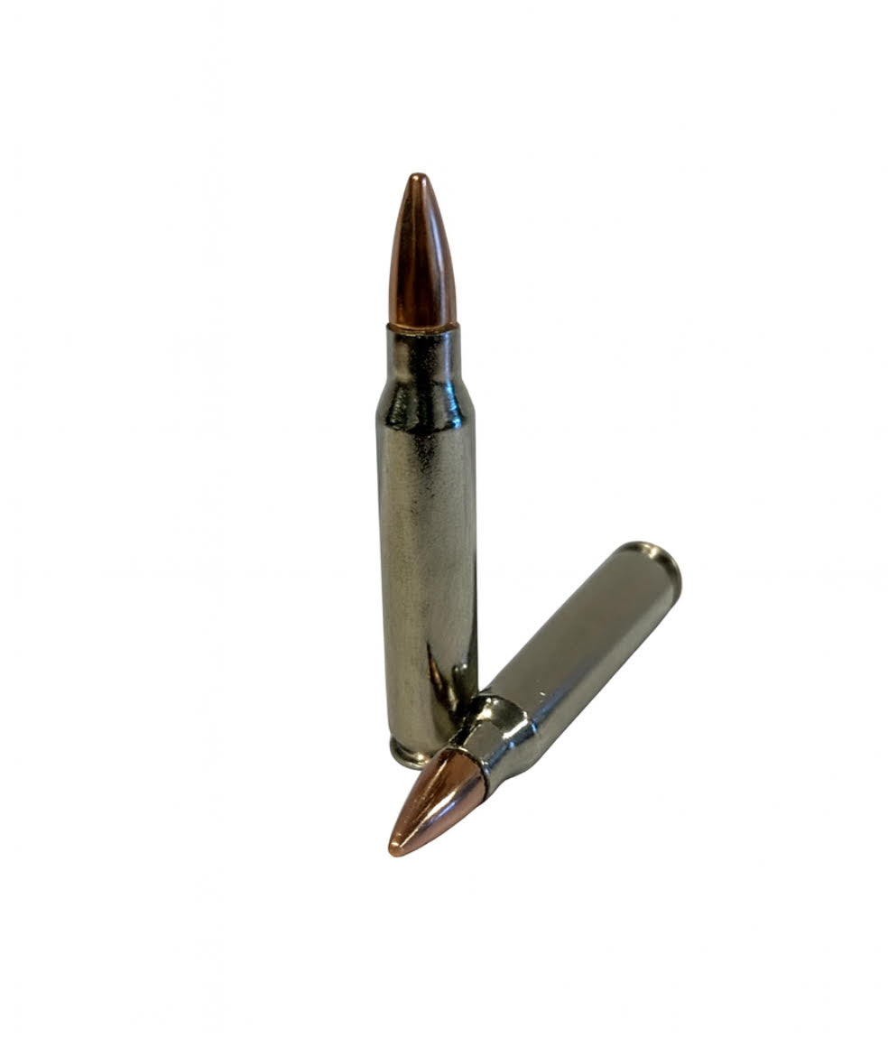 AM 223 Rem 55gr FMJ NICKEL Free Shipping - 1000 rds