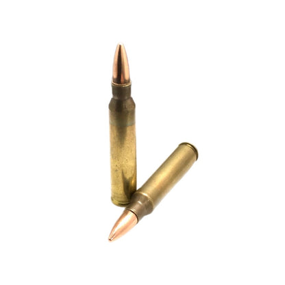 AM 223 Rem 55gr FMJ Free Shipping - 1000 rds