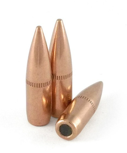 223 62gr M855 - SS109 Steel Penetrator NEW - 500ct