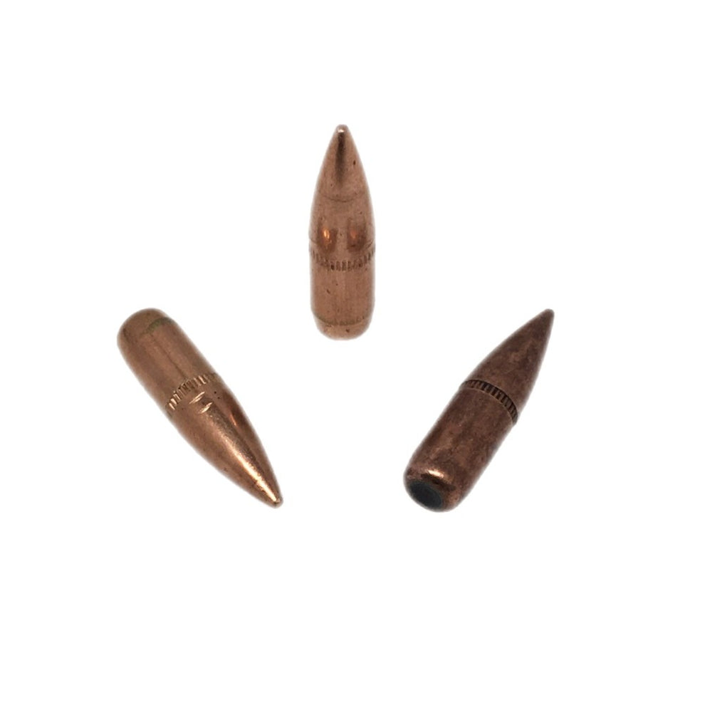 223 62gr M855 - SS109 Steel Penetrator PULLED - 500ct – American Reloading