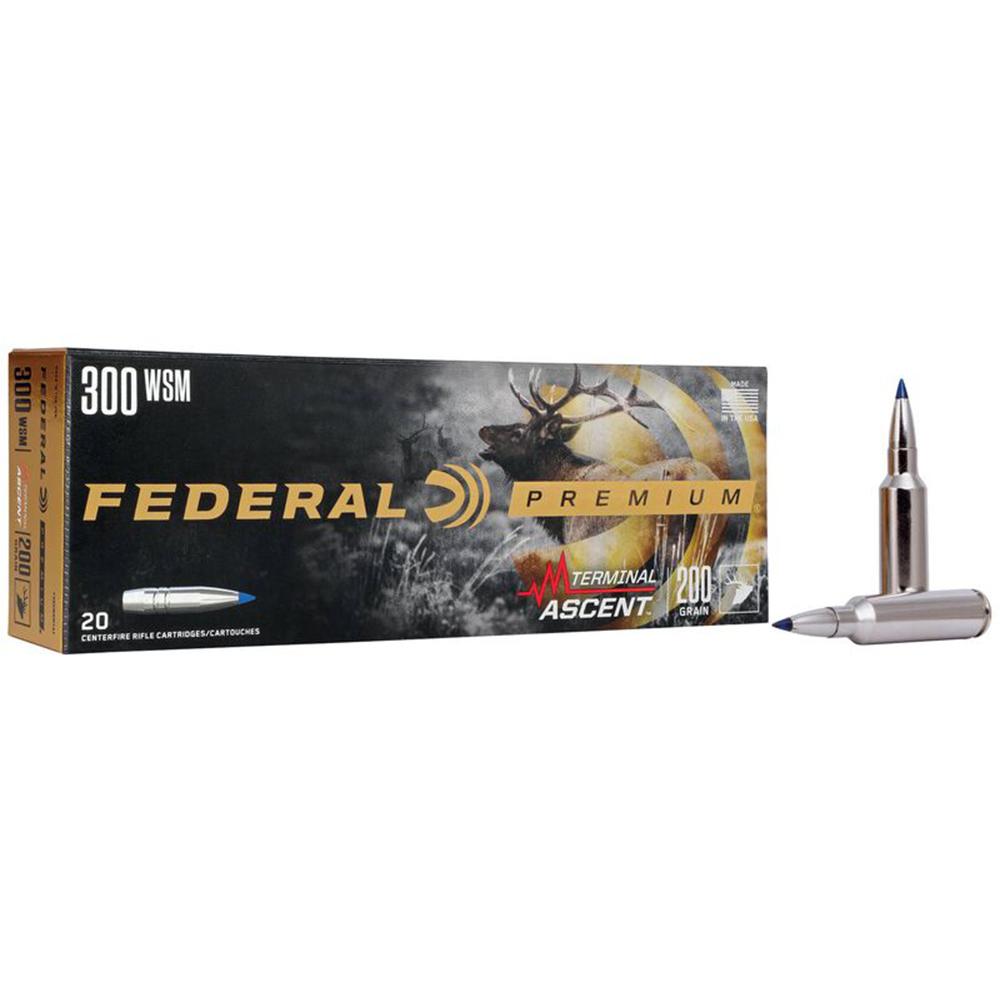 FAP300WSMTA1-1.jpg