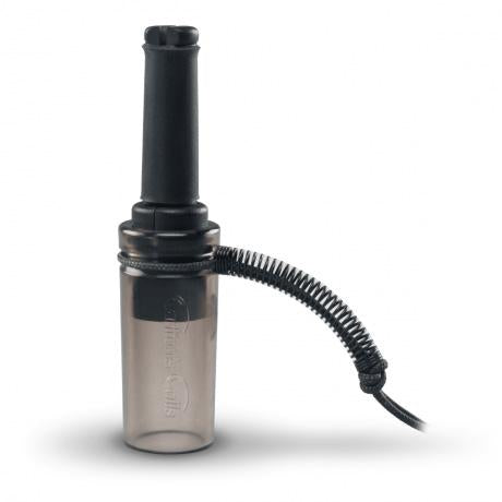 HU70040.jpg